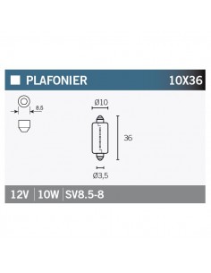 Caja de 10 lámparas SV8.5-8 12V10W