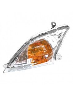 Intermitente delantero izquierdo 2