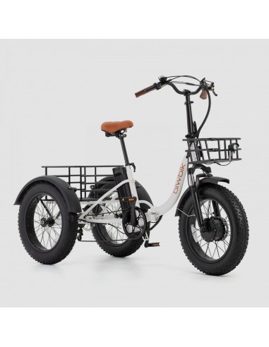 Triciclo eléctrico BIWBIK KHALI