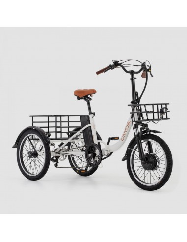 Triciclo eléctrico BIWBIK PARIS