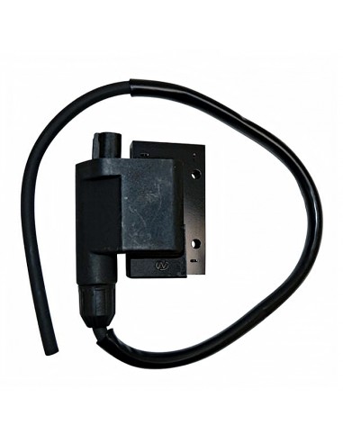 Bobina de alta tensión Kymco/Peugeot/Piaggio/Sym Con cable y conector 2 mini pin
