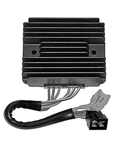 Regulador 12V/35A - Monofase - CC - 6 Cables