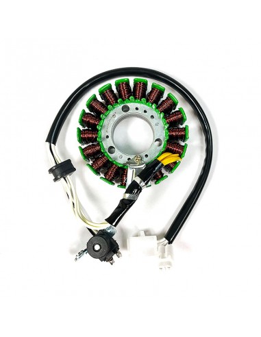 Stator SGR Trifase 18 polos con pick-up 2 cables Xcity