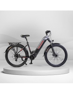 Bicicleta eléctrica BIWBIK... 2