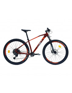 BICICLETA MTB WST POISON 9410