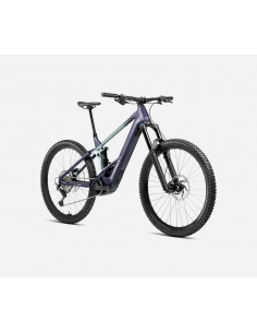 Orbea Wild H10 T-M 2