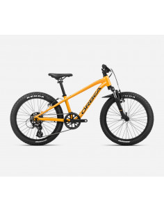 Orbea MX 20 XC 2