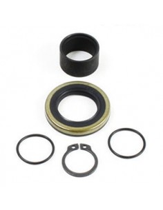 Kit de reparacion piñon de salida All Balls 25-4013