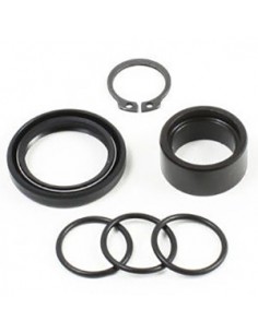 Kit de reparacion piñon de salida All Balls 25-4029