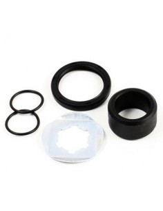 Kit de reparacion piñon de salida All Balls 25-4033