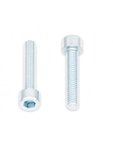 Tornillos BTR BOLT M6 x 1 x 12mm