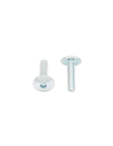 Tornillos cabeza redonda plana BOLT M5 x 0,80 x 20mm