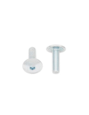 Tornillos cabeza redonda plana BOLT M6 x 1,00 x 20mm