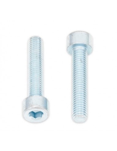 Tornillos BTR BOLT M8 x 1,25 x 40mm