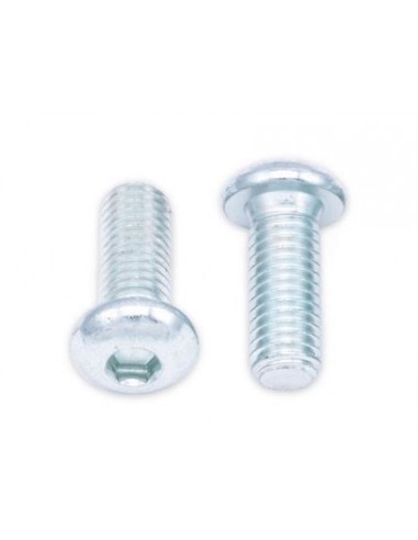 Tornillos  cabeza redonda gruesa BOLT M8 x 1,25 x 20mm