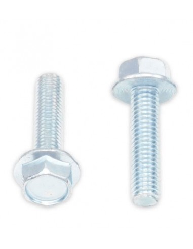Tornillos con cabeza hexagonal de brida BOLT 10mm M6 x 1,00 x 25mm