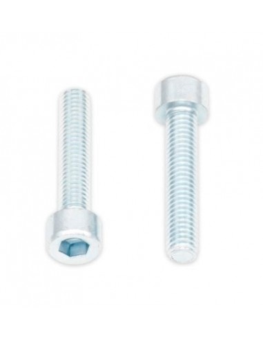 Tornillos BTR BOLT M6 x 1 x 30mm