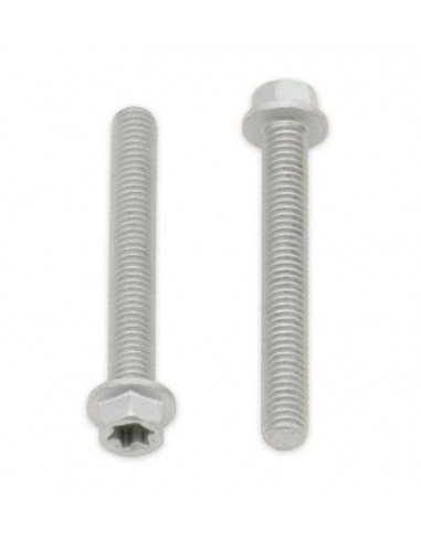Tornillos con cabeza hexagonal/Torx BOLT M6 x 1,00 x 45mm