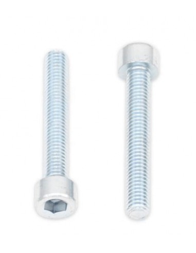 Tornillos BTR BOLT M6 x 1 x 40mm