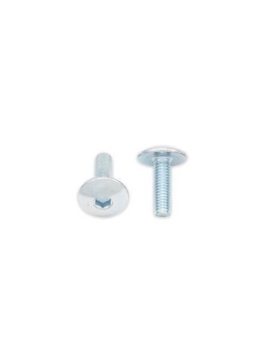 Tornillos cabeza redonda plana BOLT M5 x 0,80 x 16mm