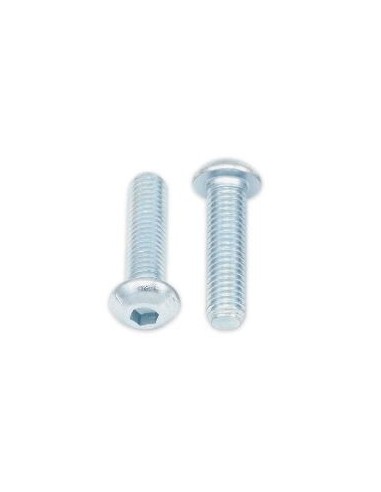 Tornillos  cabeza redonda gruesa  BOLT M8 x 1,25 x 30mm