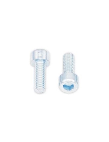 Tornillos BTR BOLT M6 x 1 x 16mm