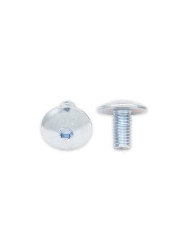 Tornillos cabeza redonda plana BOLT M6 x 1,00 x 12mm