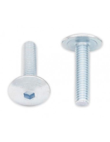Tornillos cabeza redonda plana BOLT M6 x 1,00 x 25mm