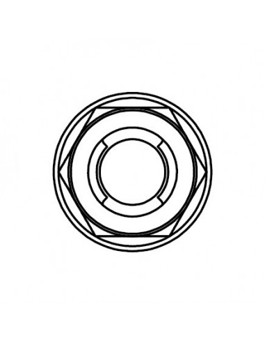 Tuerca fuji con brida BOLT M6 x 1,00 x 10mm