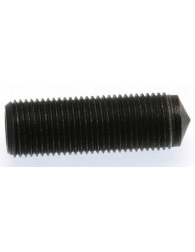 TORNILLO PARA PIN PERFORADO BUZZETTI  PARA 8944988