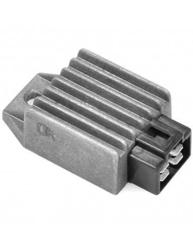 Regulador de corriente 12V 8A - C.A./C.C. - 4 Conectores