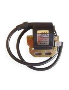 Bobina de encendido DZE 4036
