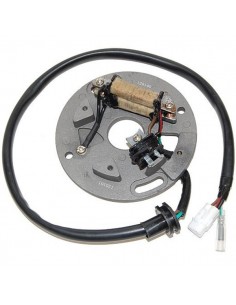 STATOR WR250 90-97