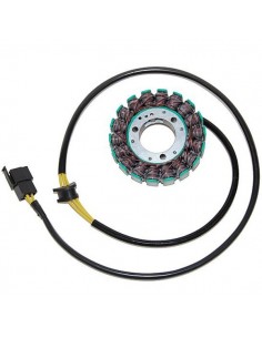 Stator Electrosport GS500 01-10