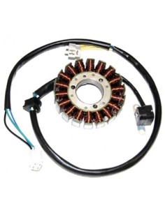 STATOR LTZ400 03-09
