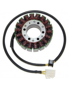 STATOR 748 BIPOSTO ESG701