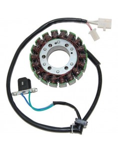 STATOR FZR600R