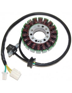 STATOR DL650 V-STROM ELECTROSPORT ESG847