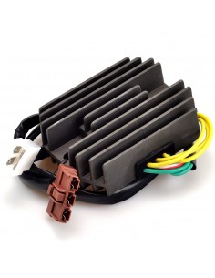 Regulador de corriente Electrosport ESR916