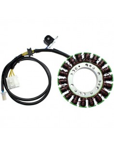 ESG371 Stator Suzuki AN650 Burgman (03-11)