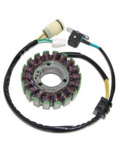 ESG950 Stator Yamaha YFZ660 Raptor (300W)