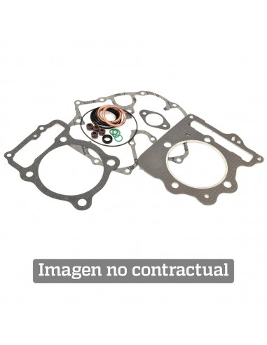 Kit completo juntas de motor Artein Scarabeo 200/250 (06-08)