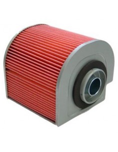 Filtro de Aire Hiflofiltro HFA1104