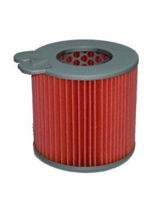 Filtro de Aire Hiflofiltro HFA1105