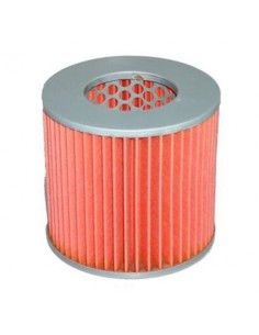 Filtro de Aire Hiflofiltro HFA1109