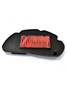 Filtro de Aire Hiflofiltro HFA1114 2010-11