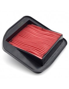 Filtro de Aire Hiflofiltro HFA1115