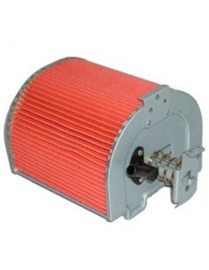 Filtro de Aire Hiflofiltro HFA1203