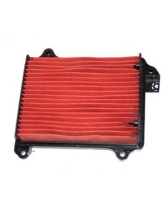 Filtro de Aire Hiflofiltro HFA1209