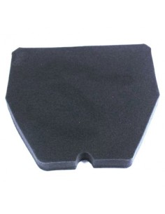 Filtro de Aire Hiflofiltro HFA1210